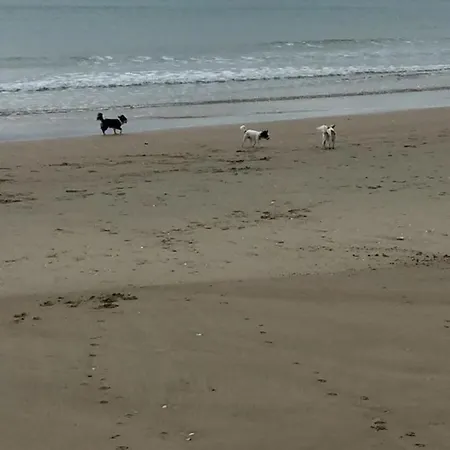 Jardin Cap D'agde 公寓 *