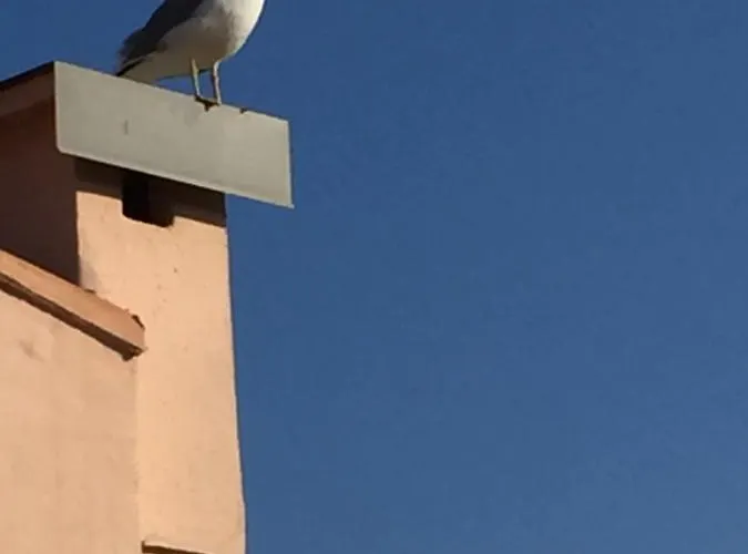 Avec Un Grand Jardin Prive Cap D'agde Pinede Апартаменти *