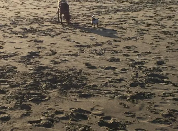 Avec Un Grand Jardin Prive Cap D'agde Pinede