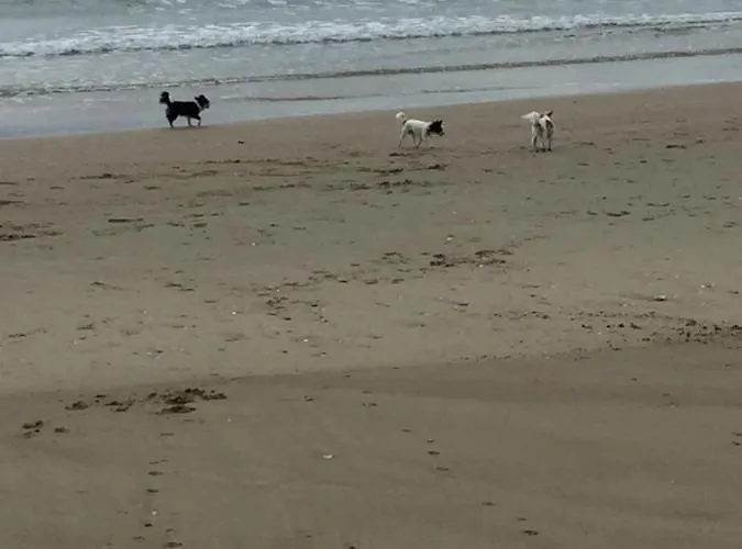 Avec Un Grand Jardin Prive Cap D'agde Pinede Апартаменти *