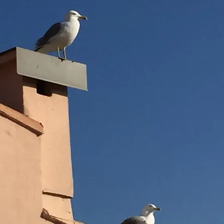 Avec Un Grand Jardin Prive Cap D'agde Pinede דירה *