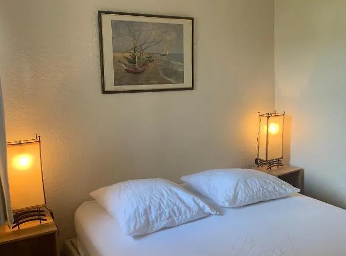 Avec Un Grand Jardin Prive Cap D'agde Pinede アグド