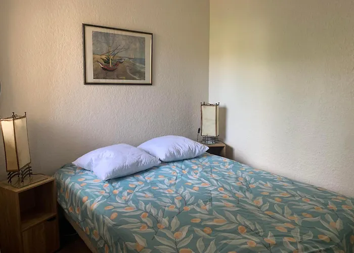 Avec Un Grand Jardin Prive Cap D'agde Pinede * Agde